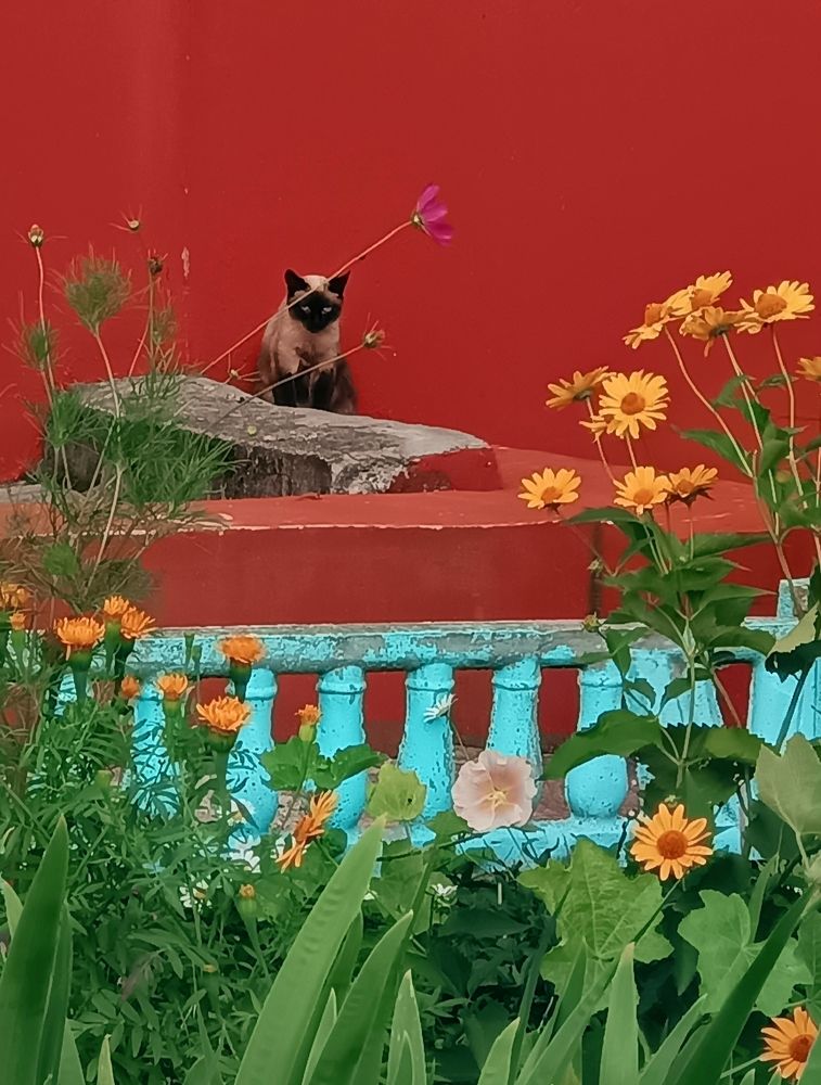 Photograph by Наталья Шумилова