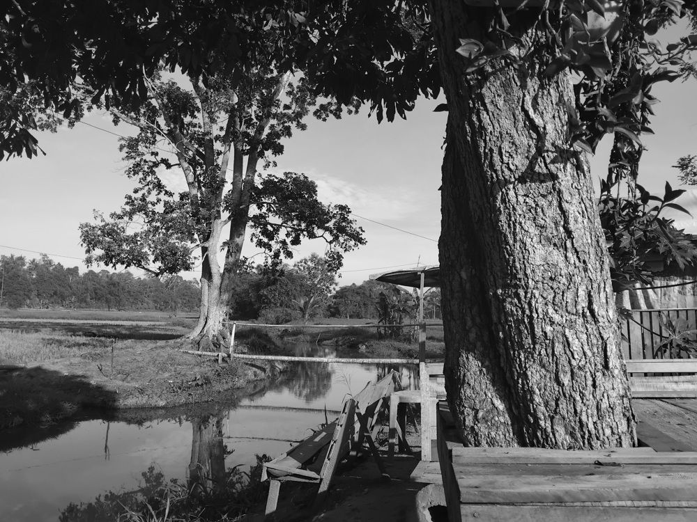 Photograph by adal adams adal