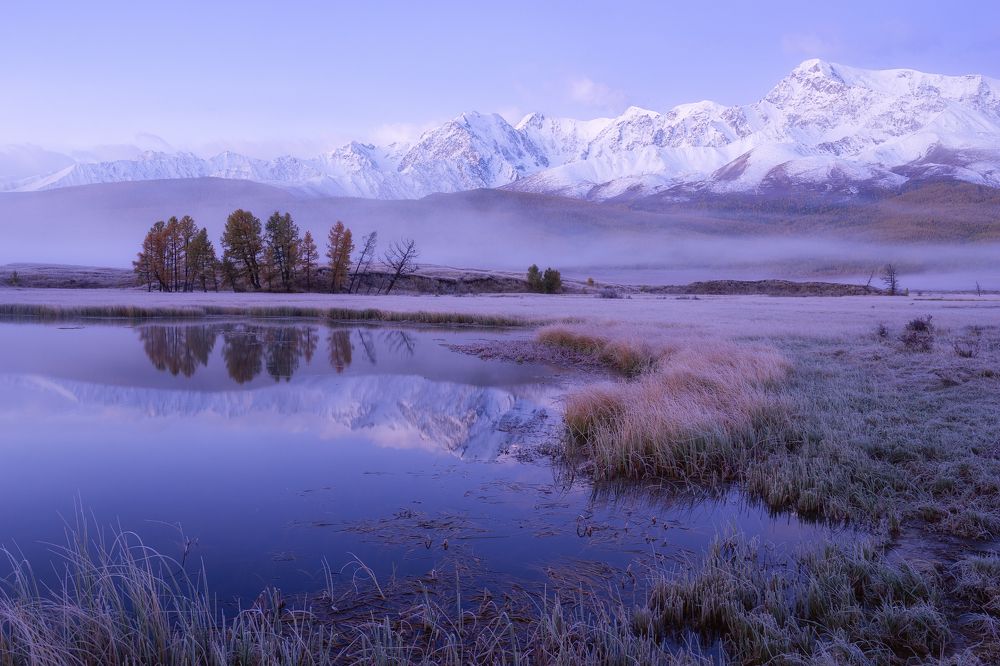 Photograph by Yuganova Tatyana