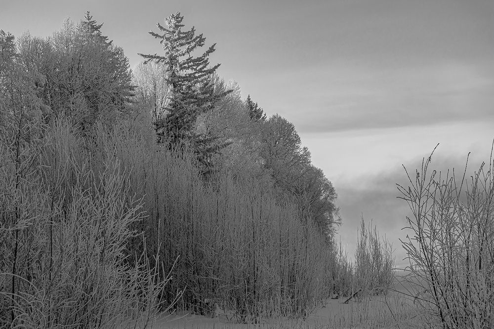 Пейзаж во власти зимы