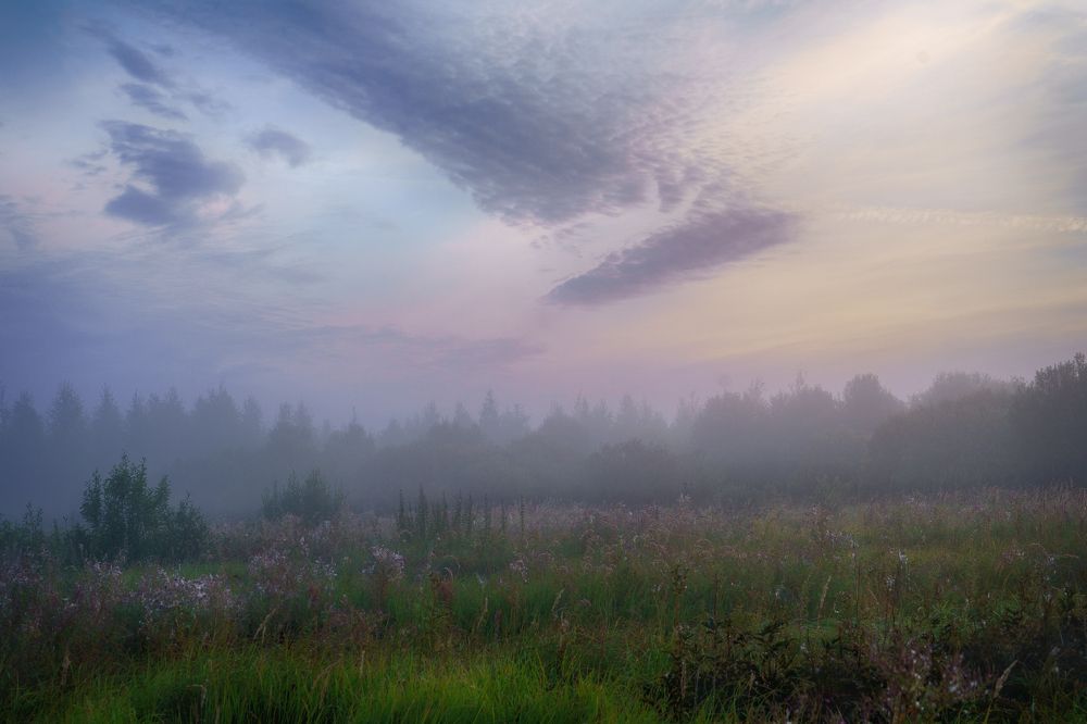 Photograph by Yuganova Tatyana