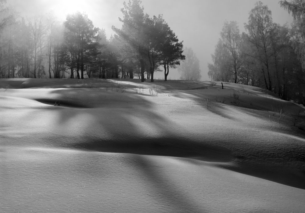 Фотография автора Кухта Мария