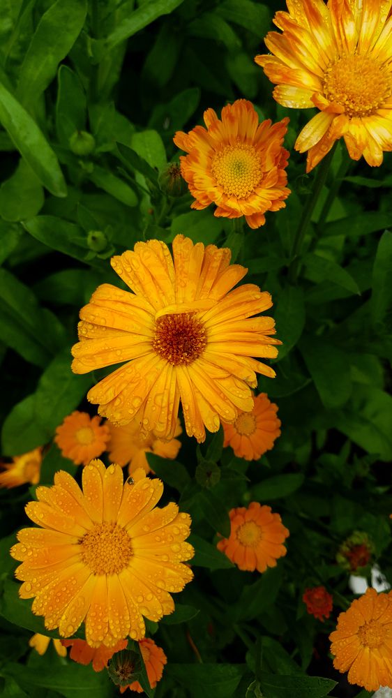 Photograph by Дарья Целуйко