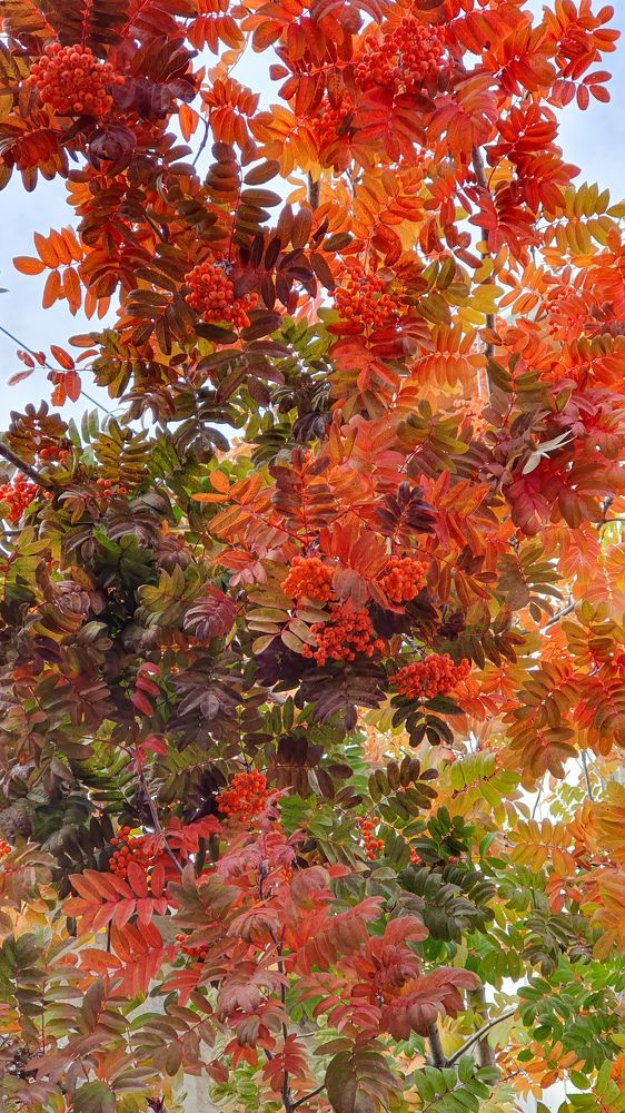 Photograph by Дарья Целуйко