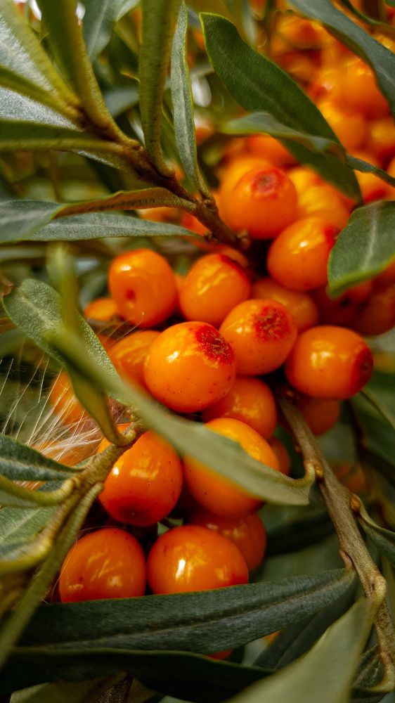 Photograph by Дарья Целуйко