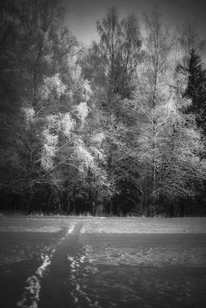 Photograph by Алексей Левичев