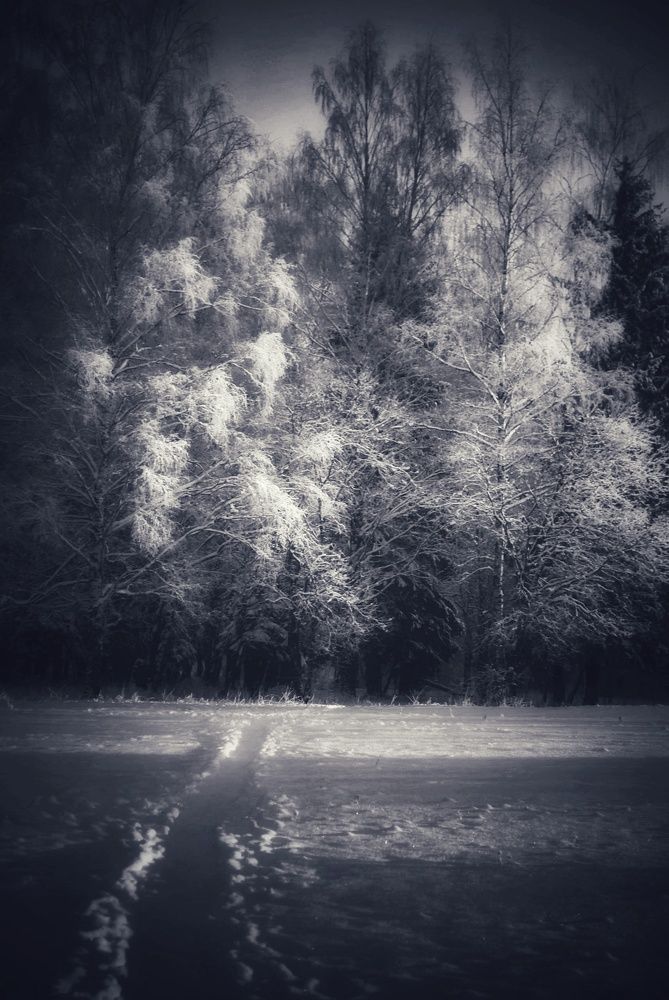 Photograph by Алексей Левичев