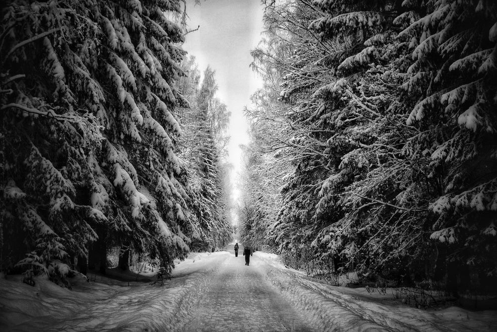 Парк в Гатчине