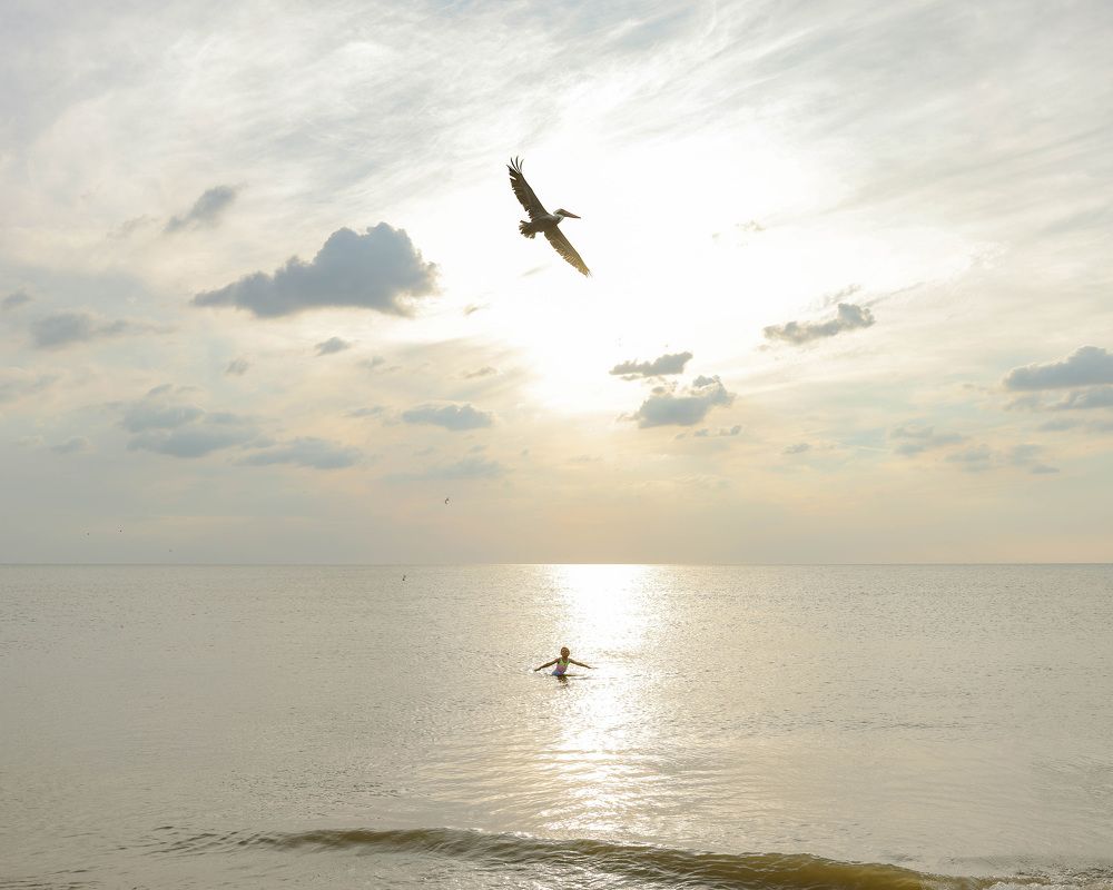 Fly soul, fly