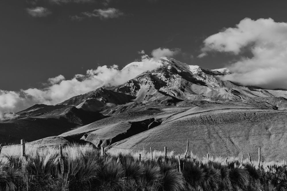 Photograph by Sandra Alvarez