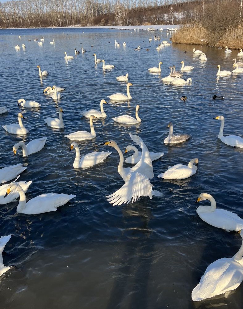 Фотография автора Наталья Пасечко