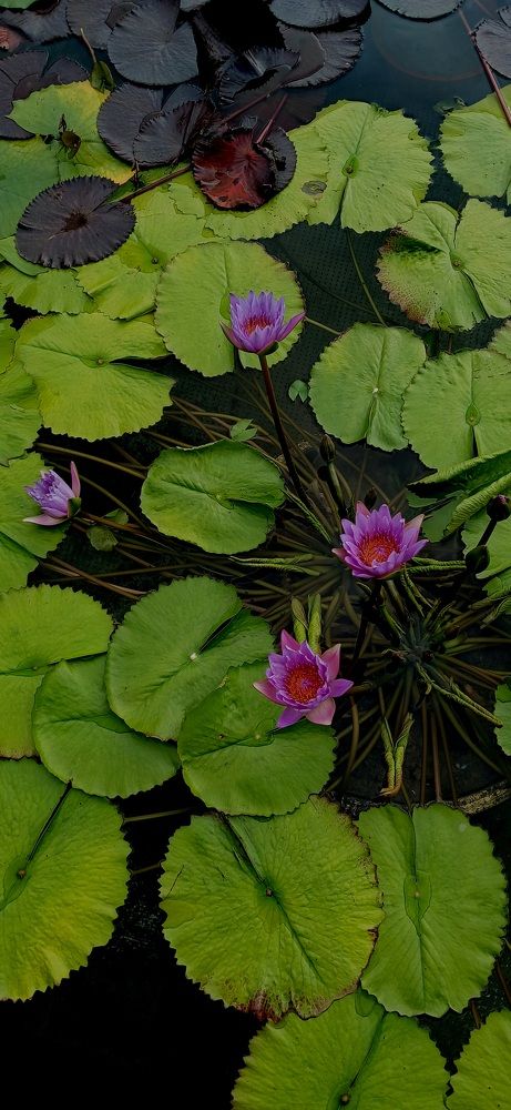 Photograph by Александр Зыков