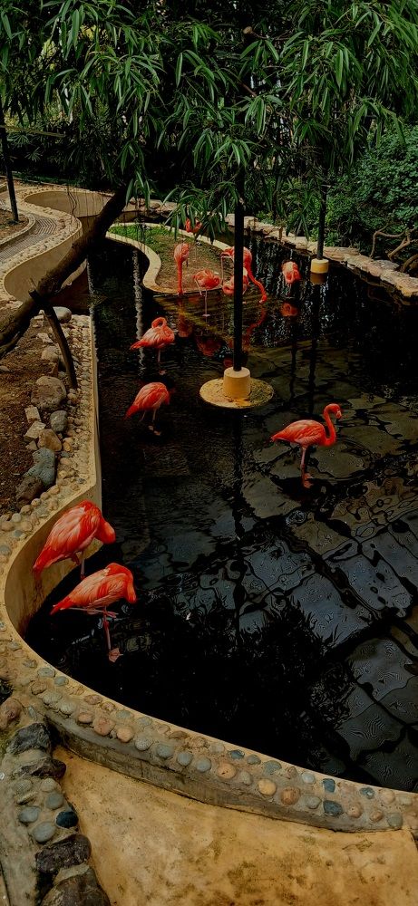 Photograph by Александр Зыков