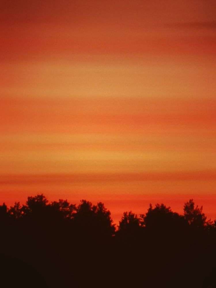 Photograph by Oxana Kostsova