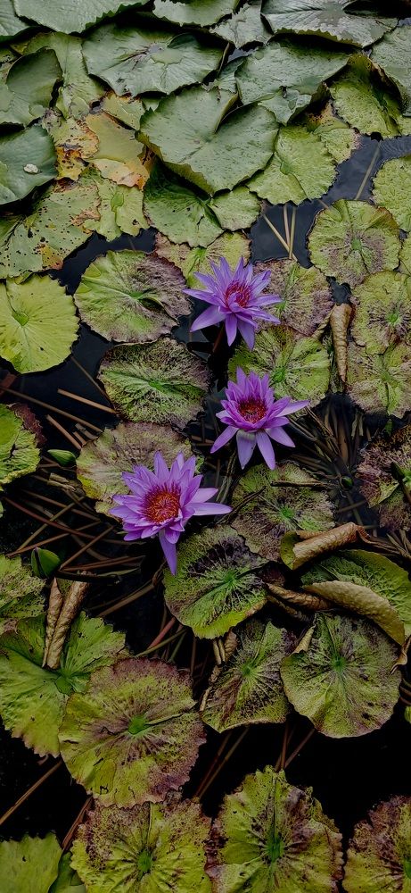 Photograph by Александр Зыков