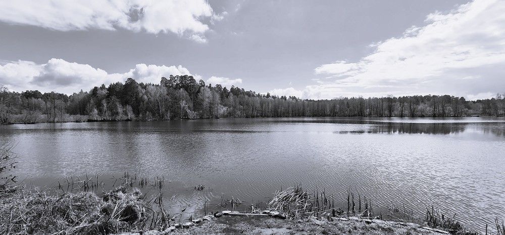 Фотография автора Наталья Владимировна