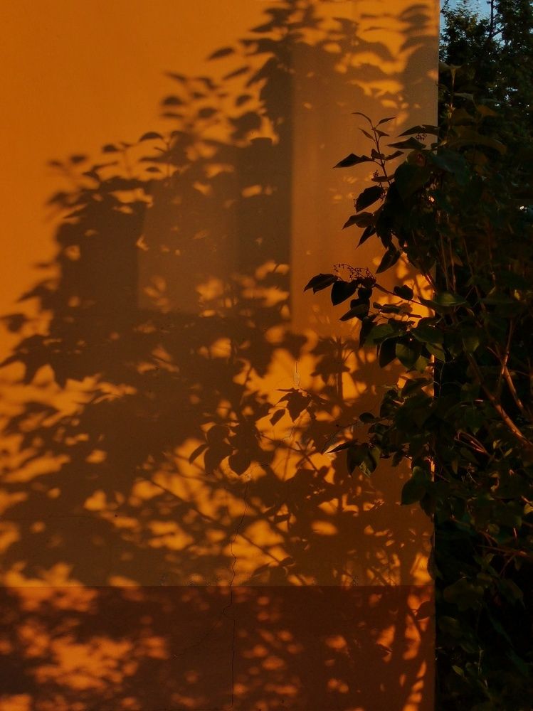 Photograph by Oxana Kostsova