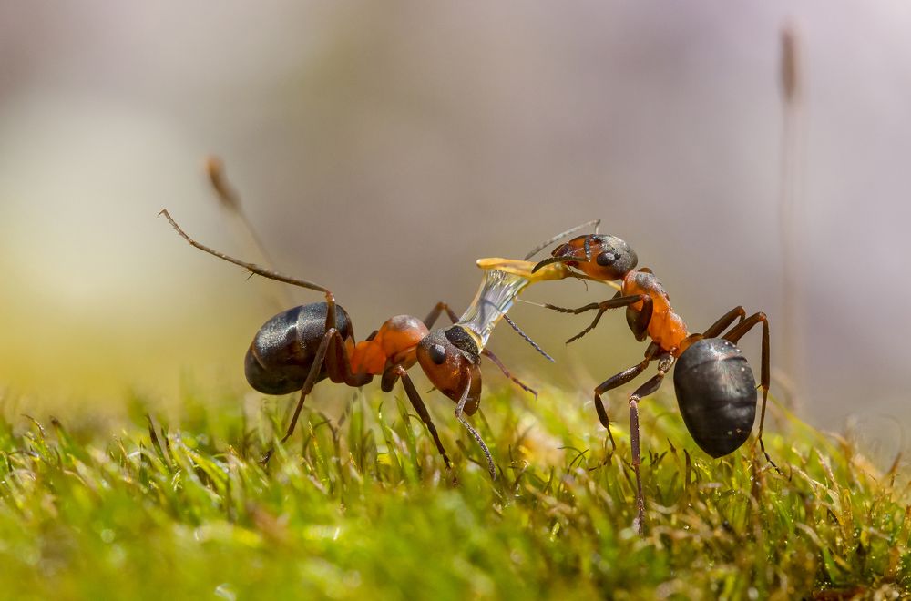 О! Тёпленькая пошла!