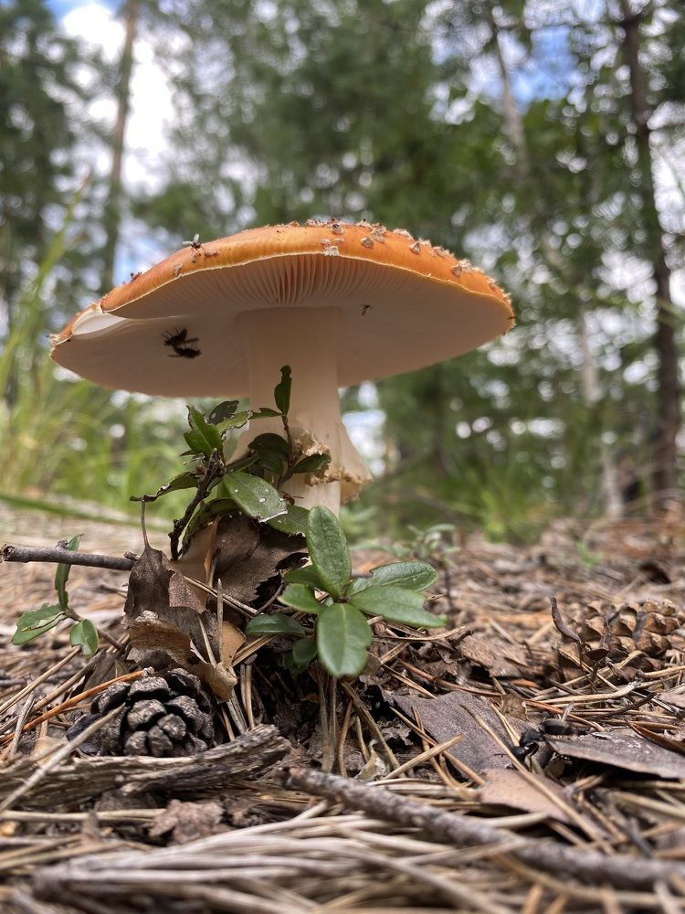 Photograph by Светлана Яковлева