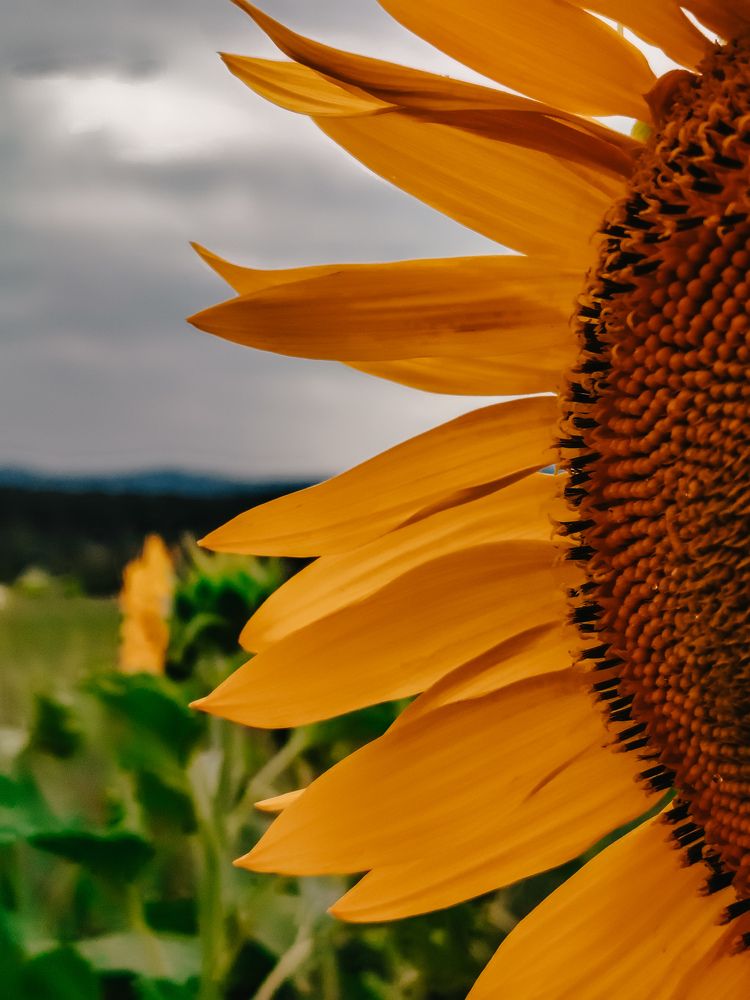 Photograph by Татьяна Букреева