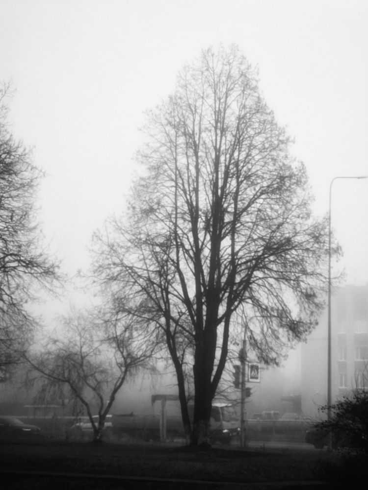 Photograph by Екатерина Ефимова