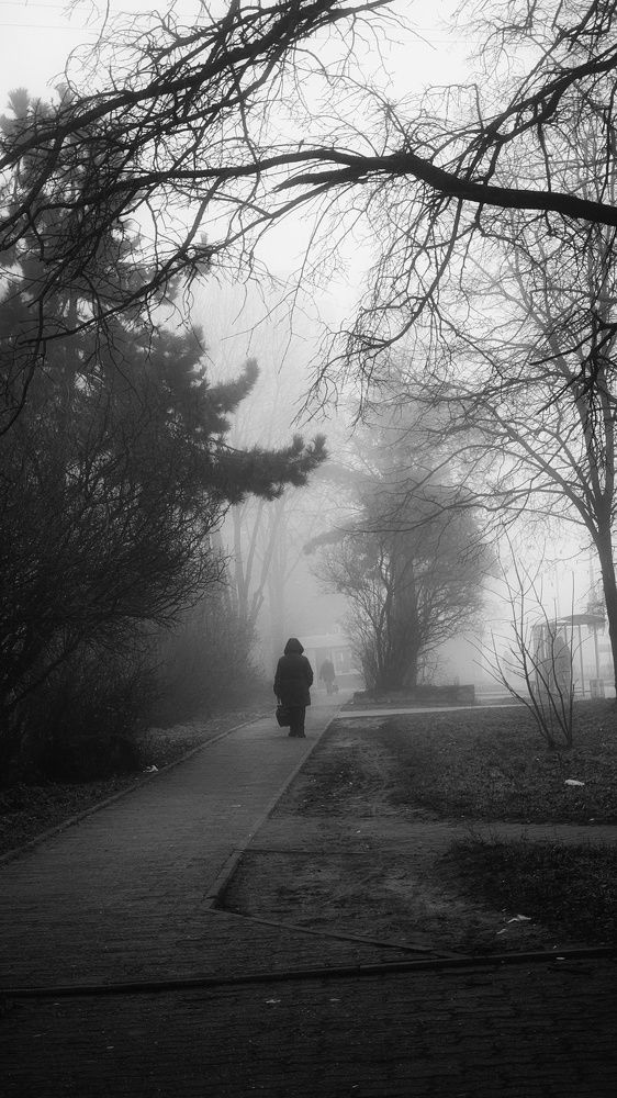 Photograph by Екатерина Ефимова