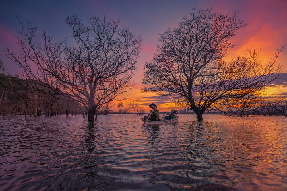 Фотография автора Pham Quynh Nga