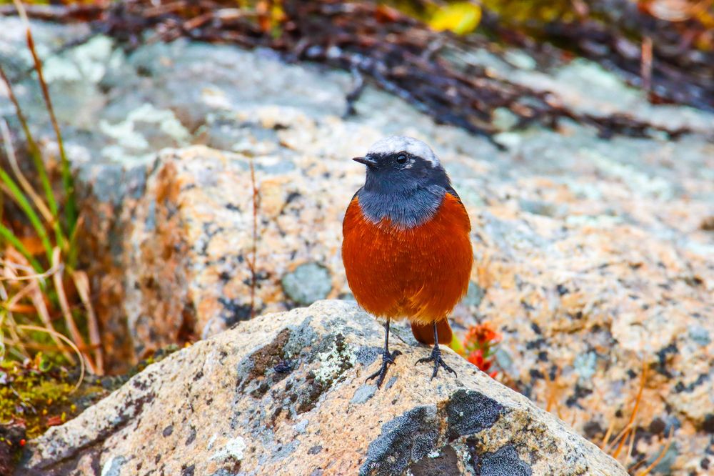 Photograph by Наталья Трифуз