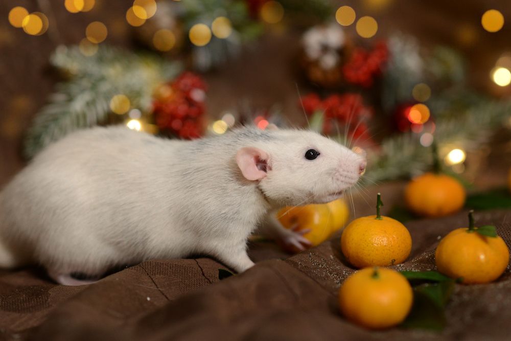 Photograph by Светлана Попова