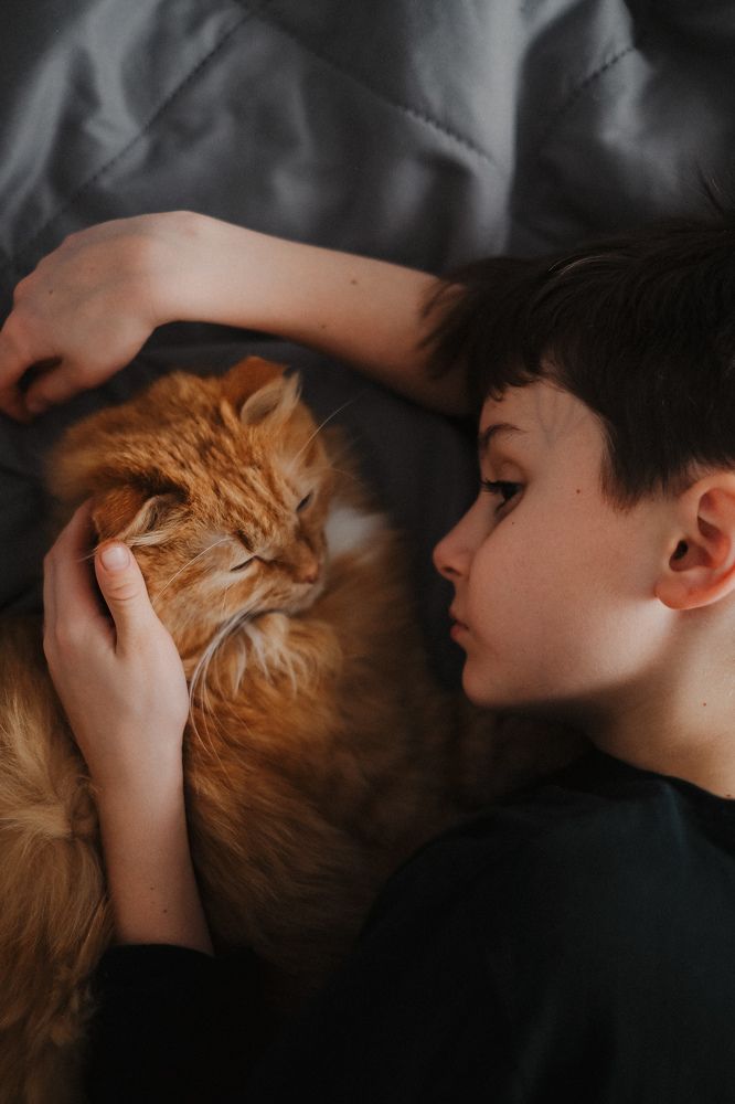 Photograph by Анастасия Прокопенко