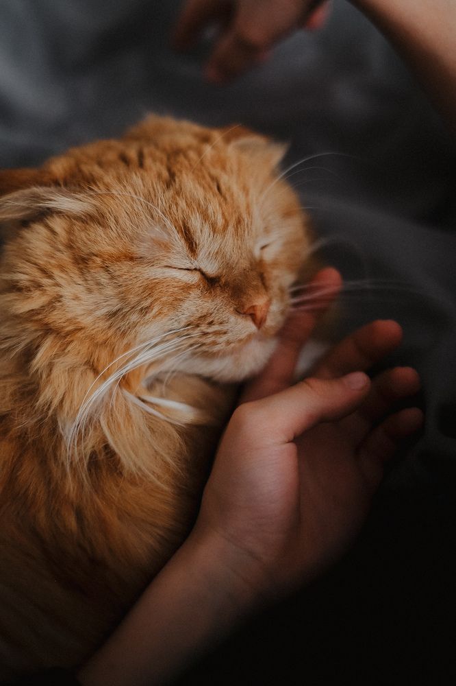 Photograph by Анастасия Прокопенко