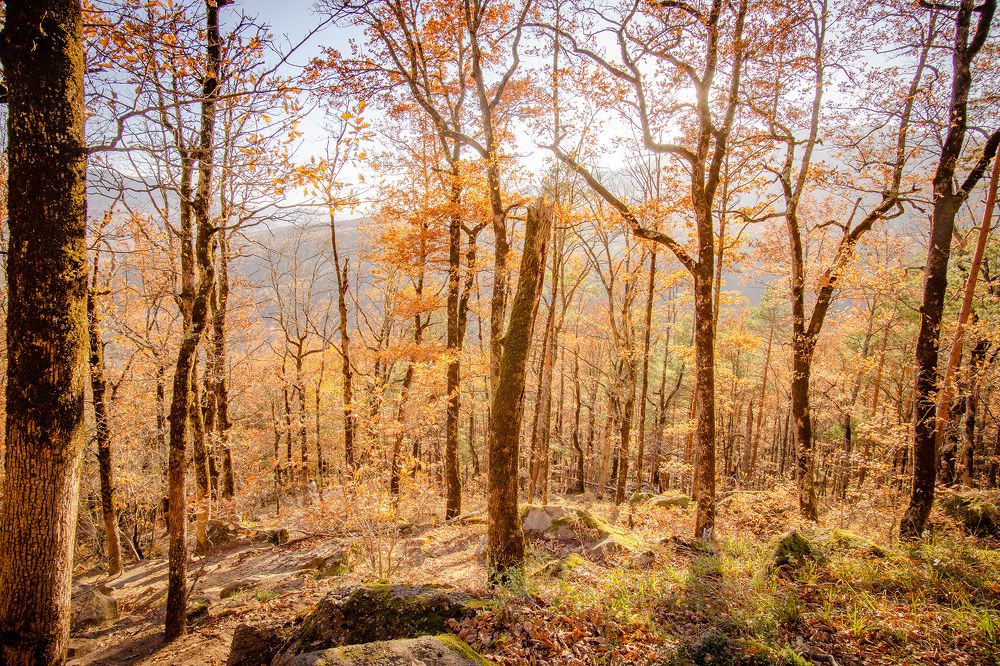 Фотография автора Вадим Коваленко