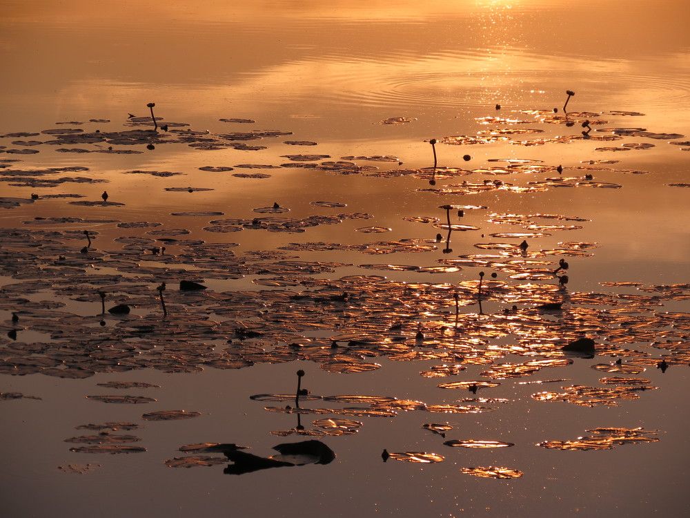 Photograph by Андрей Осмоловский