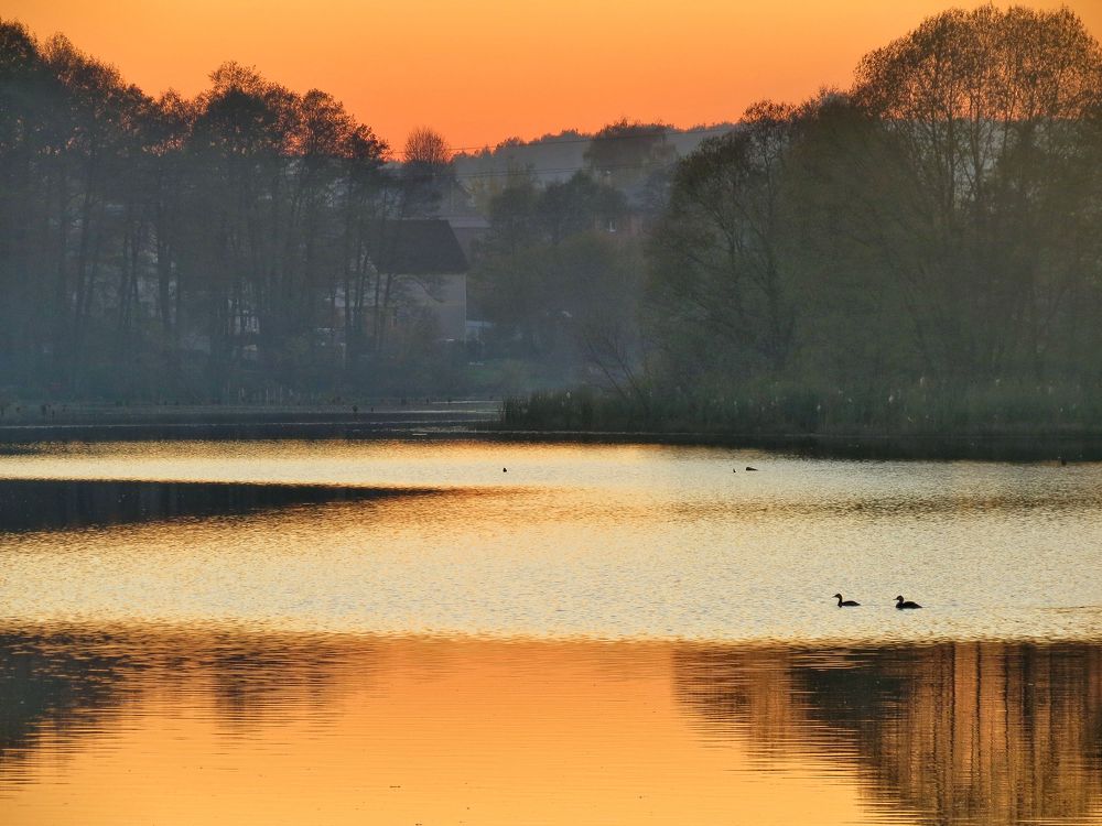 Photograph by Андрей Осмоловский