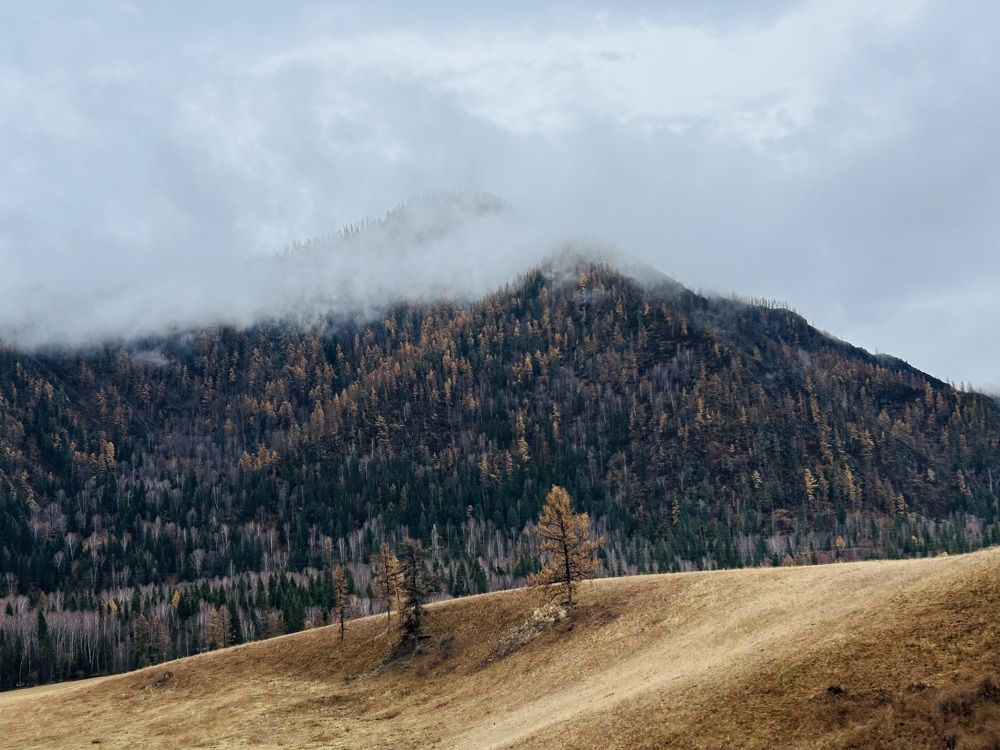 Photograph by Лариса