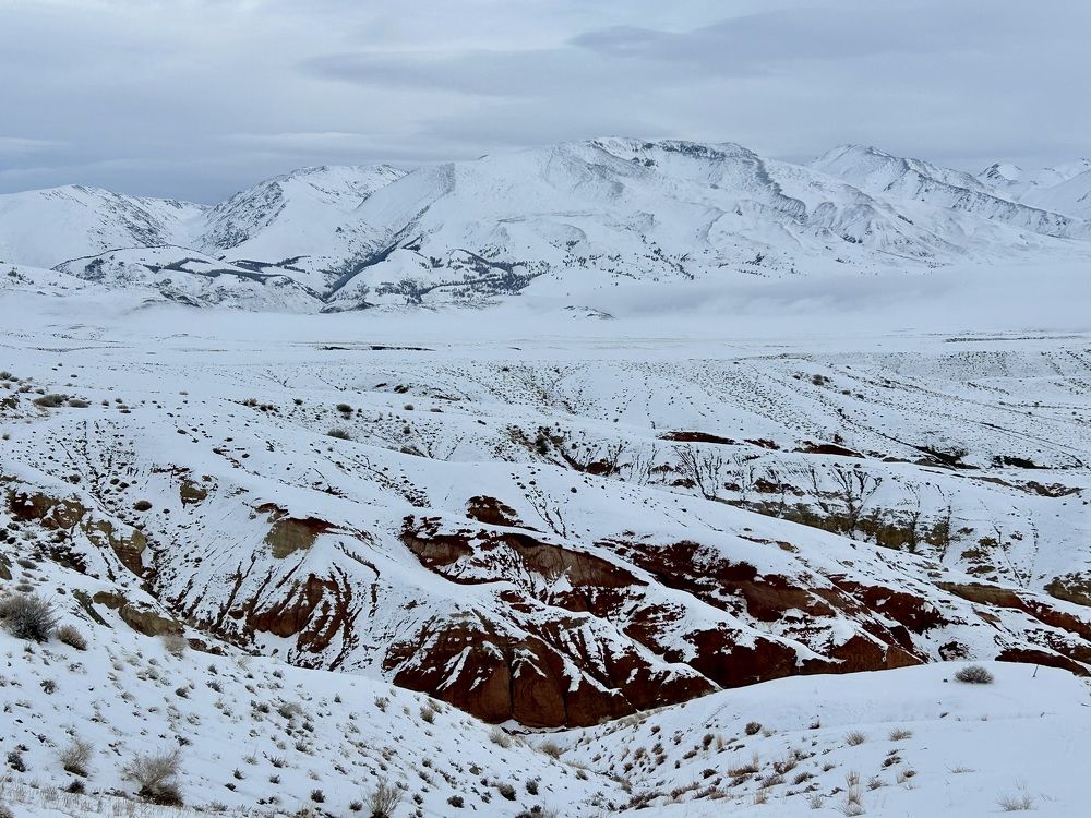 Photograph by Лариса