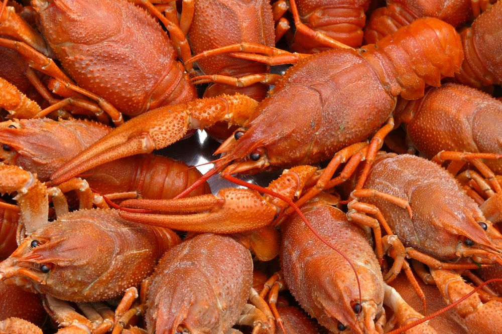 Photograph by Татьяна