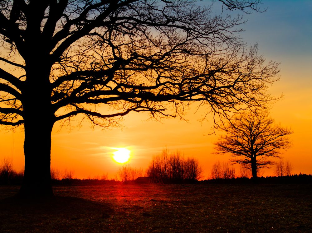 Photograph by Agita Leimane