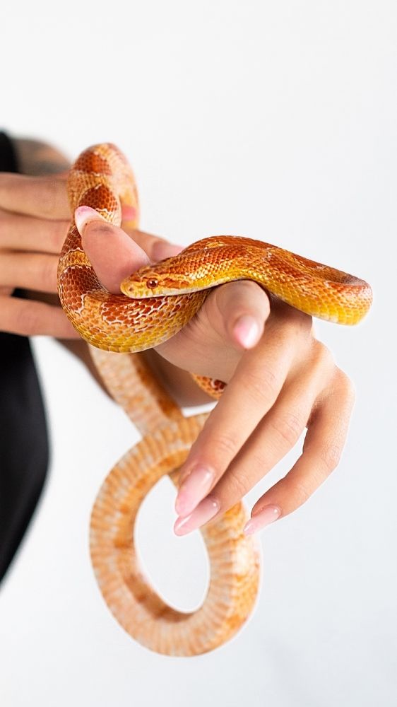 Photograph by Киприна Наталья