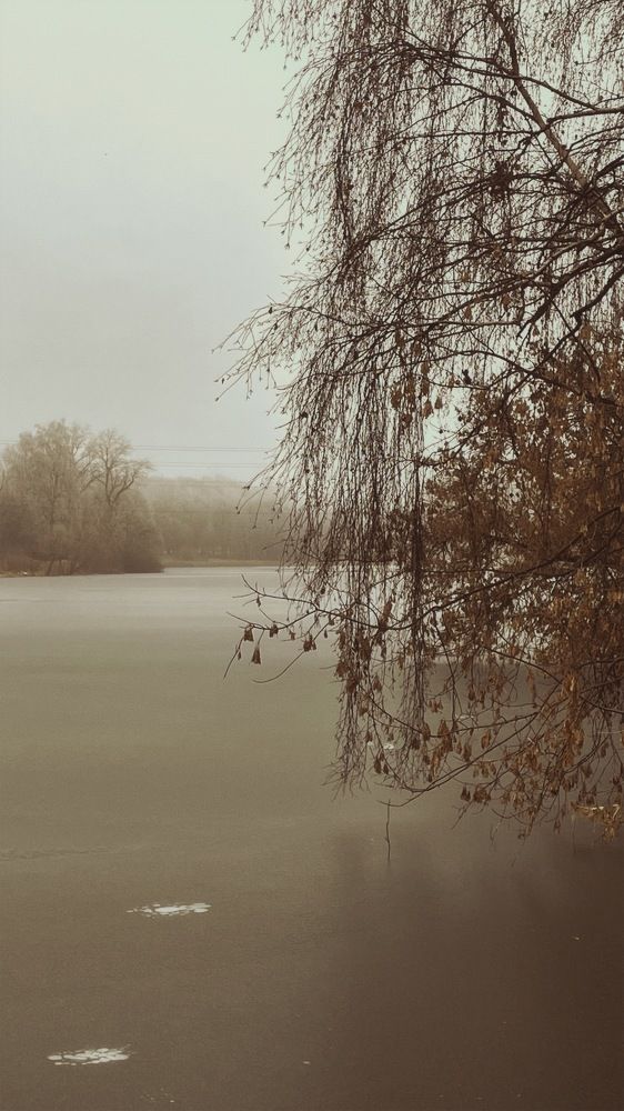 Photograph by Ольга Дорошенко