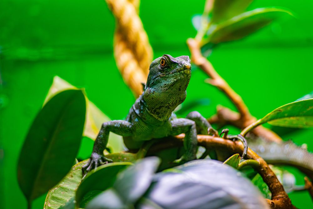 Photograph by sasha nikolaev