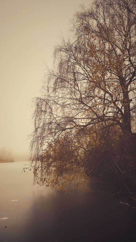 Photograph by Ольга Дорошенко