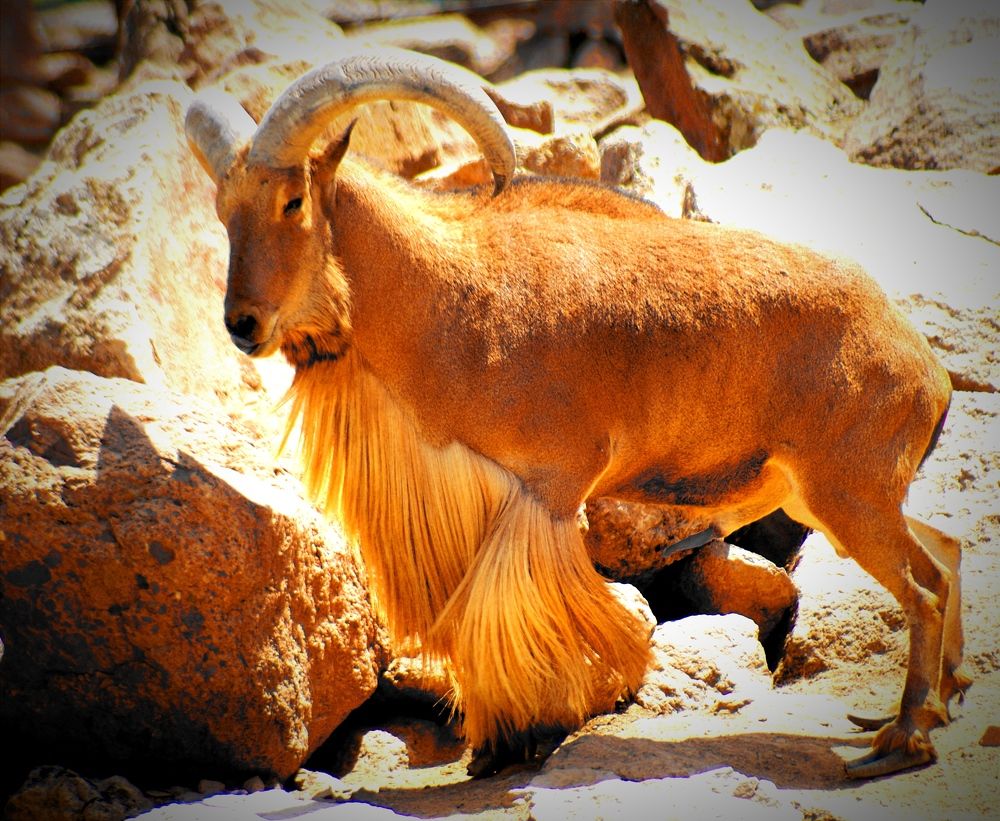 Photograph by Владимир Ким