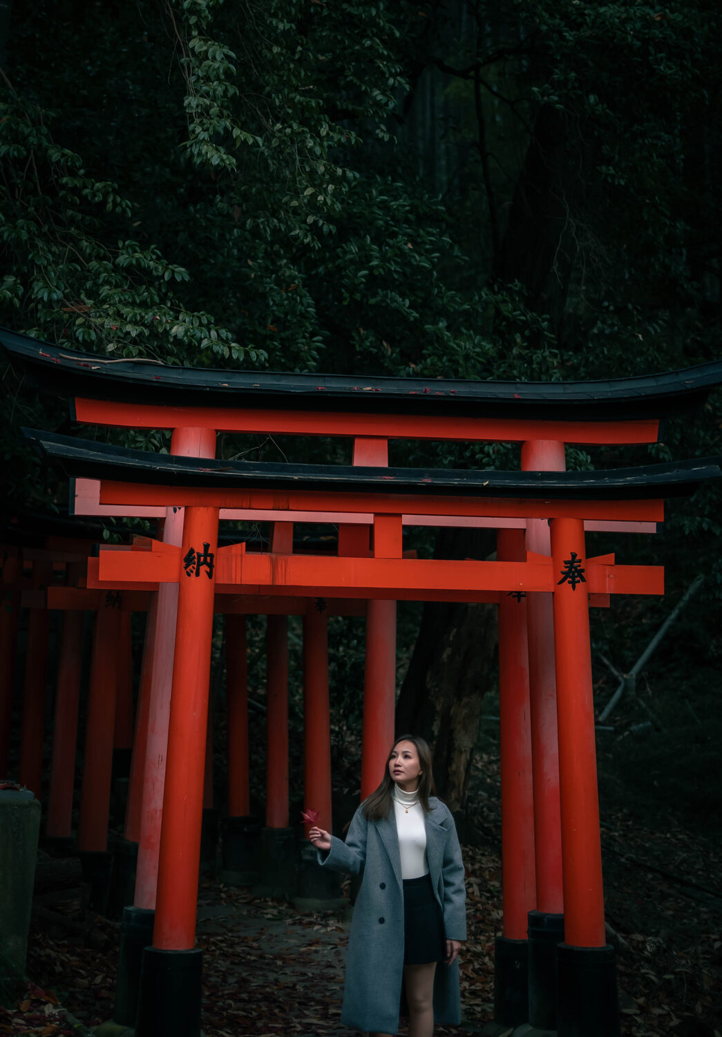 Photo #11519233