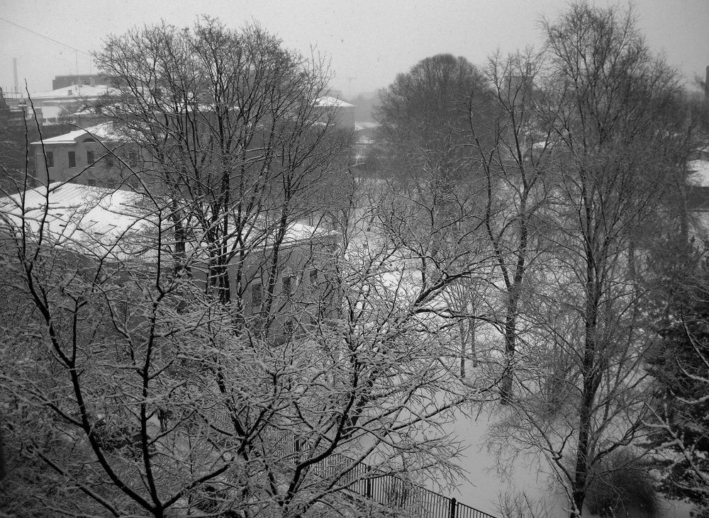 Photograph by Елена Юдина