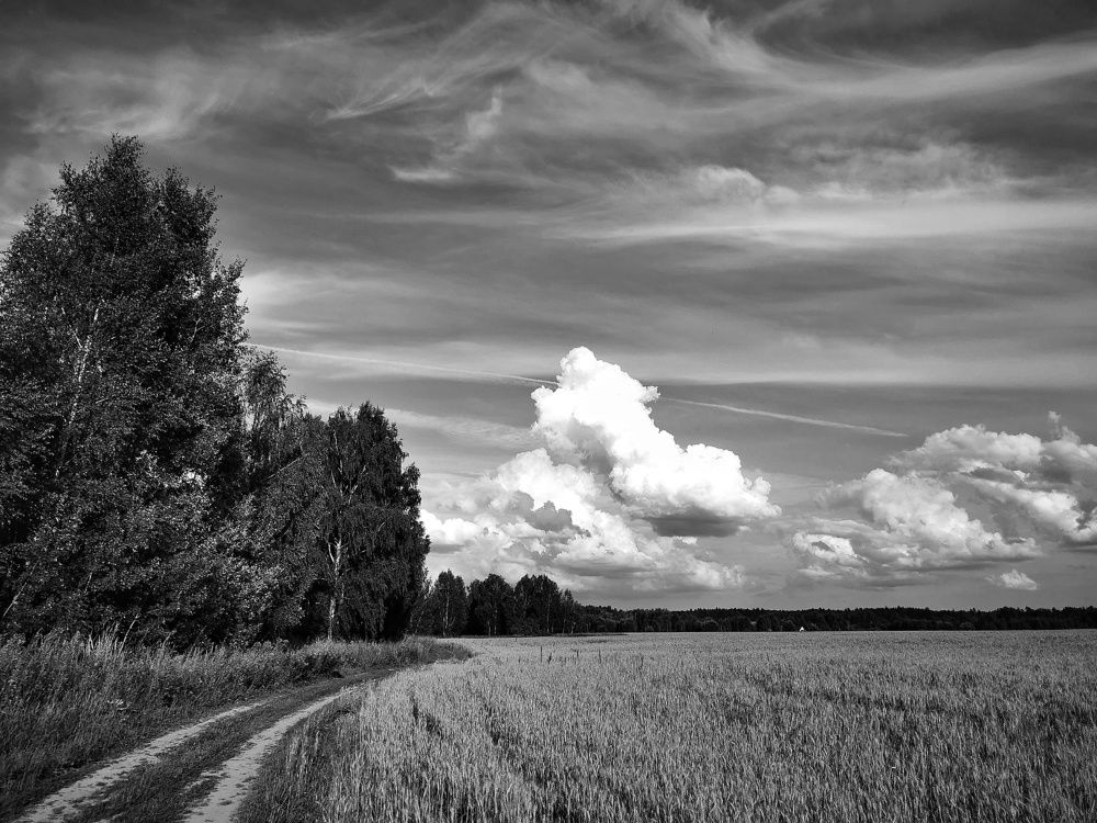 Photograph by Елена Артёменко