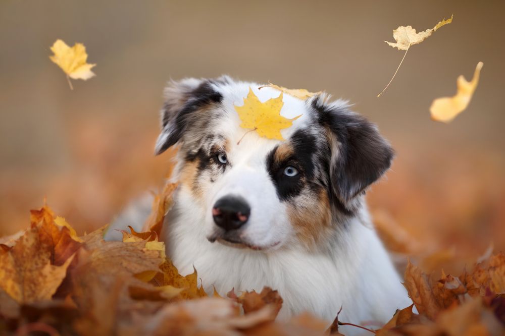 Photograph by Евгения Костусева