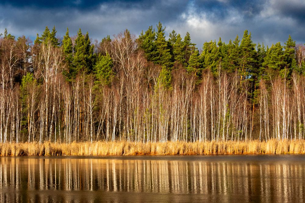 Фотография автора 