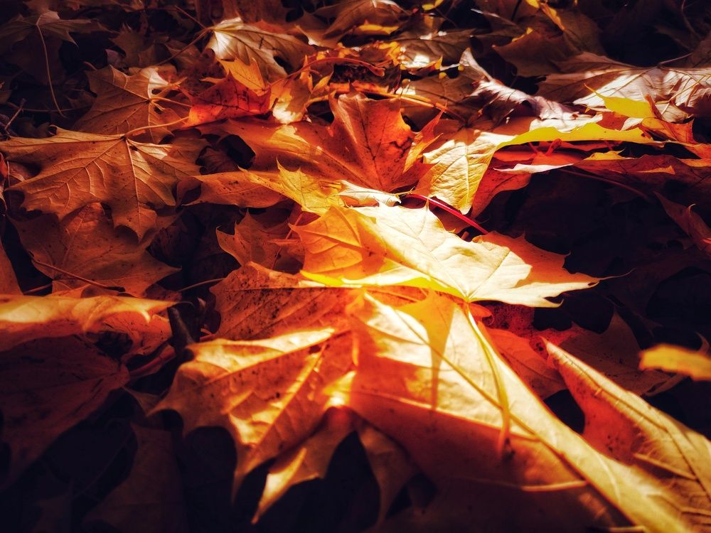 Photograph by Alex GoodWin