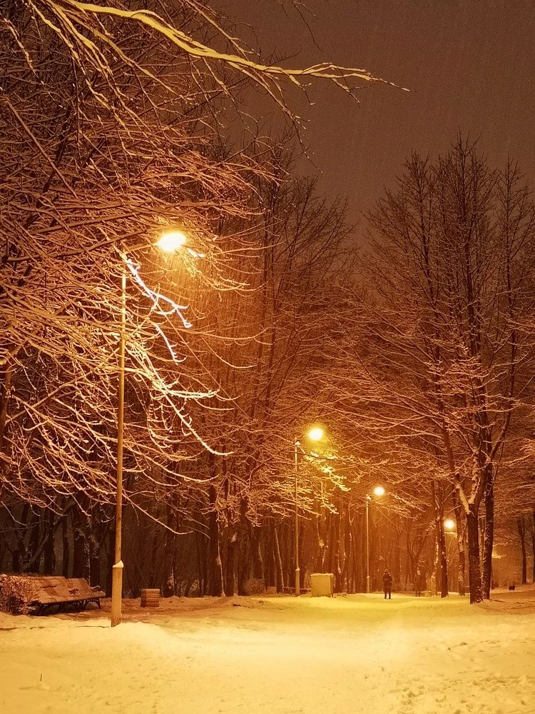 Photograph by Alex GoodWin